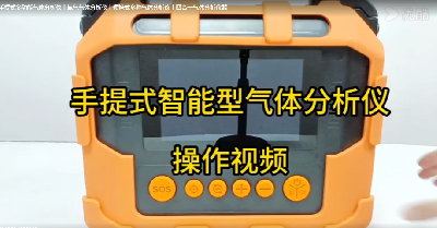 手提式多功能氣體分析儀 PTM600-S-10