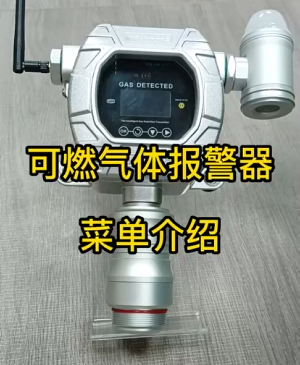 磁吸式可燃?xì)怏w報(bào)警器MIC-600-L-Ex-A